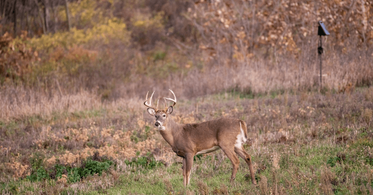 Featured Image for Five Early Season Hotspots to Make the Most of Your Hunt